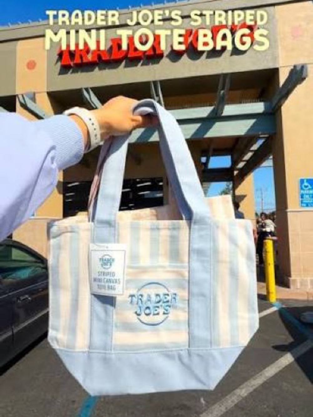 NWT! Trader Joe’s Striped Canvas Tote Bags Set of 2 - Blue & Beige - Picture 3 of 3